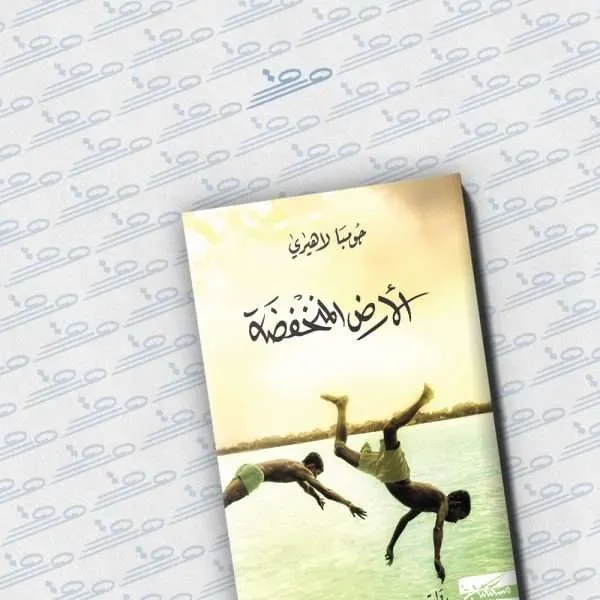 الأرض المنخفضة