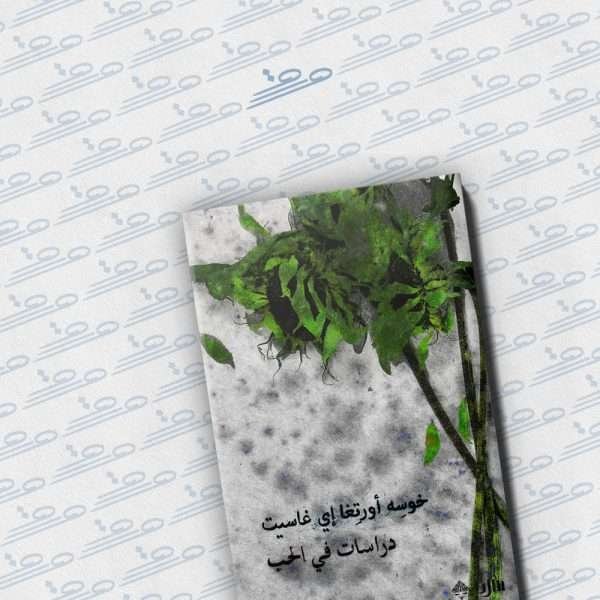 دراسات في الحب